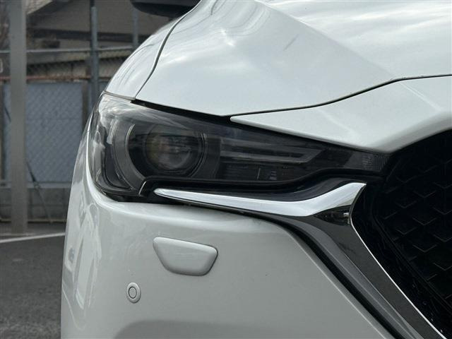 ���Ǝҗl�ւ̔̔��͂��f�肳���Ă��������܂��B �Ԍ������ԗ��̏ꍇ�́A�Ԍ����擾�������x�������z�ŕ\�����Ă���܂��B