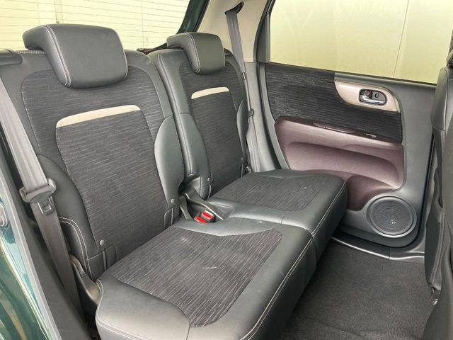 �㕔���Ȃ��C�ɂȂ�悤�ȃL�Y�E�����ւ��蓙�A�傫�ȃ_���[�W�͂Ȃ��A�ǍD�ȏ�Ԃł��B