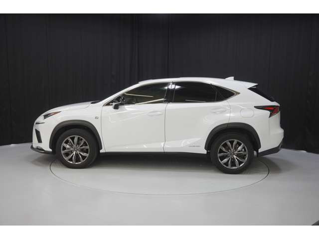 NX300h Fスポーツ