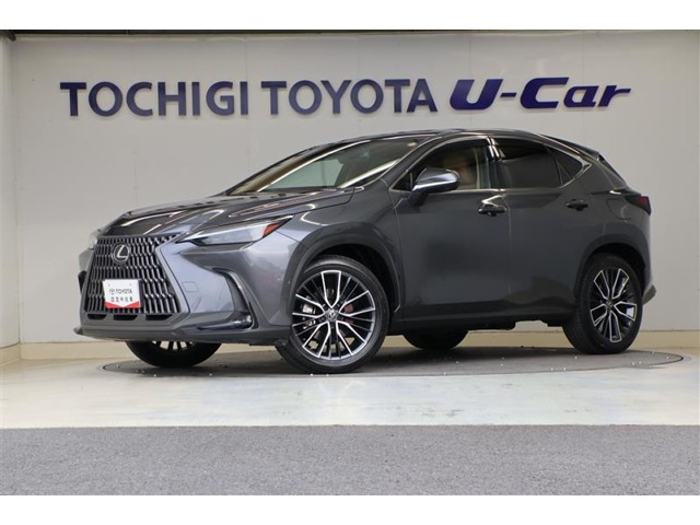 NX350h バージョンL