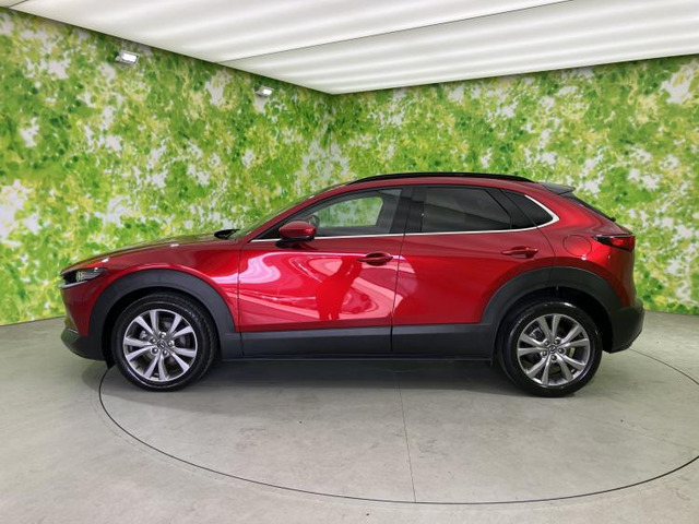 CX-301.8 XD Lパッケージ