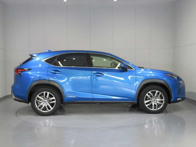 NX300h バージョンL