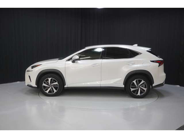 NX300h Iパッケージ