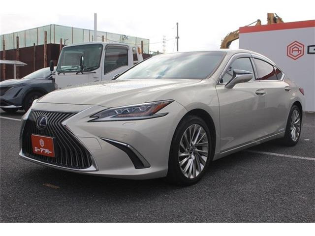 ���Ǝҗl�ւ̔̔��͂��f�肳���Ă��������܂��B �Ԍ������ԗ��̏ꍇ�́A�Ԍ����擾�������x�������z�ŕ\�����Ă���܂��B