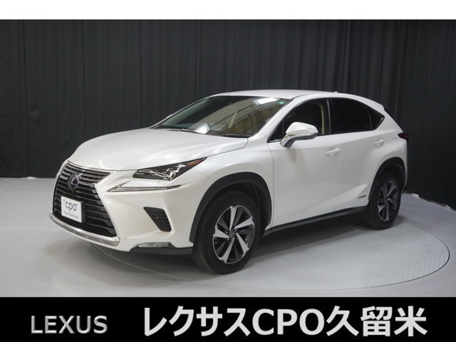 NX300h Iパッケージ