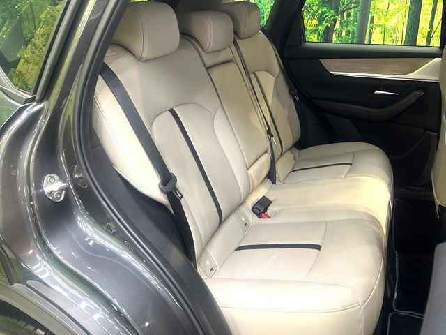 �㕔���Ȃ��C�ɂȂ�悤�ȃL�Y�E�����ւ��蓙�A�傫�ȃ_���[�W�͂Ȃ��A�ǍD�ȏ�Ԃł��B