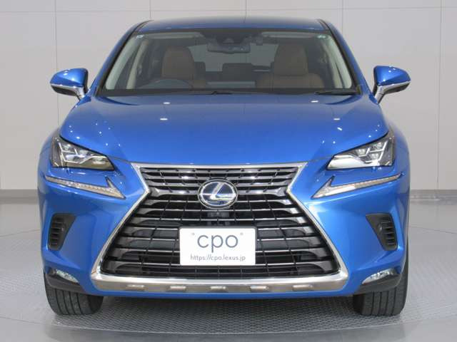 NX300h バージョンL