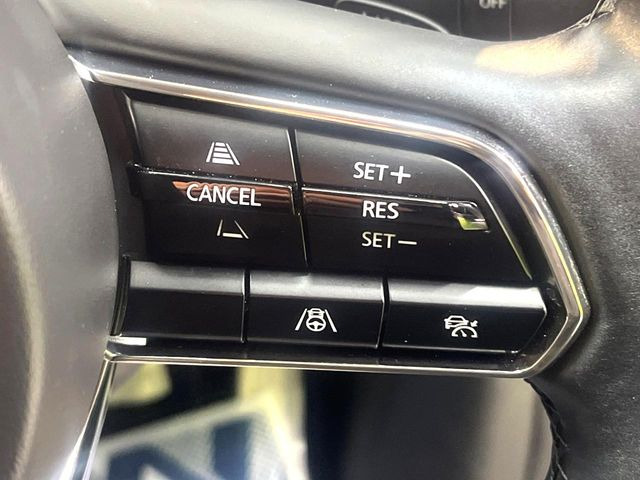 �y�}�c�_�E���[�_�[�N���[�Y�R���g���[���z�������H�ł̒��������s���y��!�����ő��x��ۂN���[�Y�R���g���[�����A�Փˌy���V�X�e���ƘA�g���A�O���̎ԗ������m���ĎԊԂ�ۂ悤�ɑ��x���߂��Ă���܂�!!