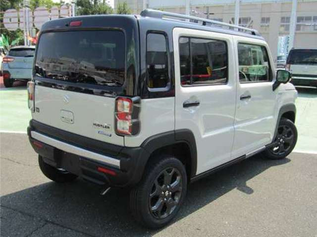 ハスラータフワイルド