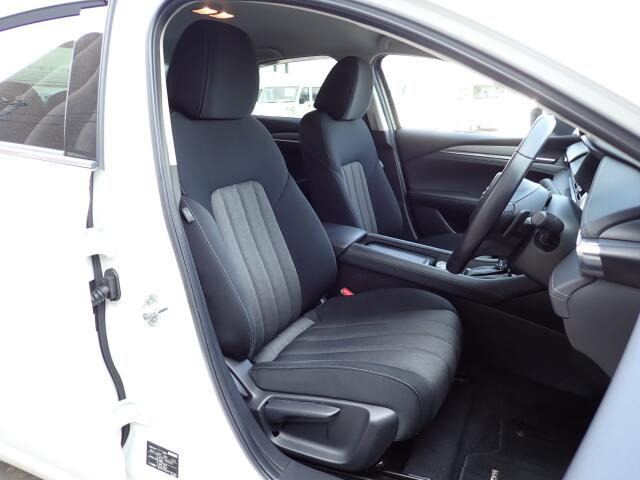 �t�����g�V�[�g����ԗǍD�ł���B�傫�ȉ�����Ȃ��A����S�n�������ł���B