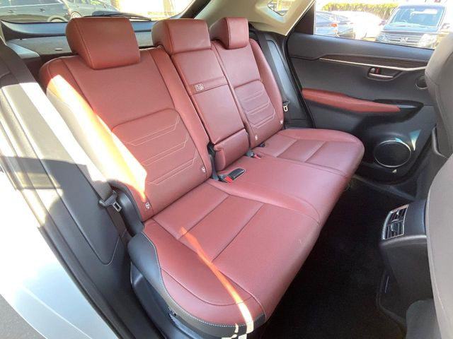 �㕔���Ȃ��C�ɂȂ�悤�ȃL�Y�E�����ւ��蓙�A�傫�ȃ_���[�W�͂Ȃ��A�ǍD�ȏ�Ԃł��B