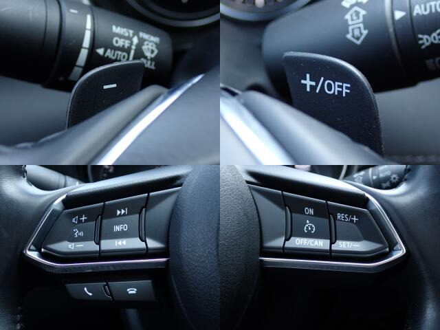 �X�e�A�����O�X�C�b�`�e��͉^�]���Ɏ�⎋�����O�����ƂȂ�����\�ł��B