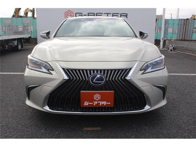 ���Ǝҗl�ւ̔̔��͂��f�肳���Ă��������܂��B �Ԍ������ԗ��̏ꍇ�́A�Ԍ����擾�������x�������z�ŕ\�����Ă���܂��B