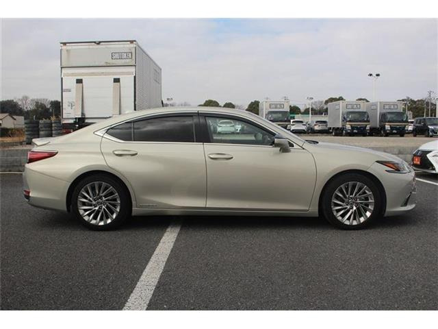 ���Ǝҗl�ւ̔̔��͂��f�肳���Ă��������܂��B �Ԍ������ԗ��̏ꍇ�́A�Ԍ����擾�������x�������z�ŕ\�����Ă���܂��B