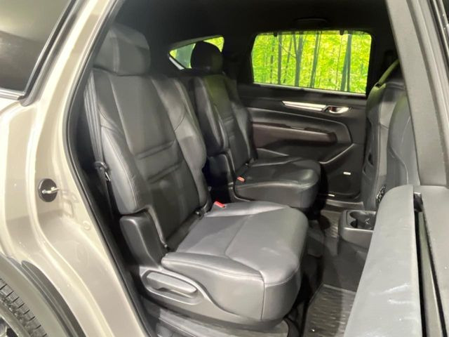 �㕔���Ȃ��C�ɂȂ�悤�ȃL�Y�E�����ւ��蓙�A�傫�ȃ_���[�W�͂Ȃ��A�ǍD�ȏ�Ԃł��B