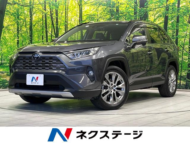 RAV4(トヨタ) 2.0 G Zパッケージ 4WD 中古車画像