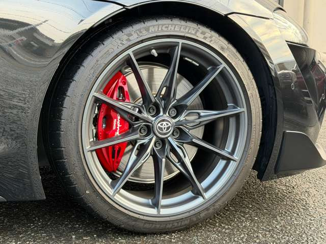 19�C���`�b���E�������_�[�N���^���b�N�z�C�[���E�X�[�v�����S���背�b�h�L�����p�[�B