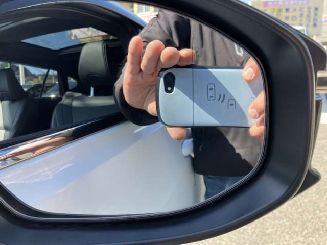 �u���C���h�X�|�b�g���j�^�[!