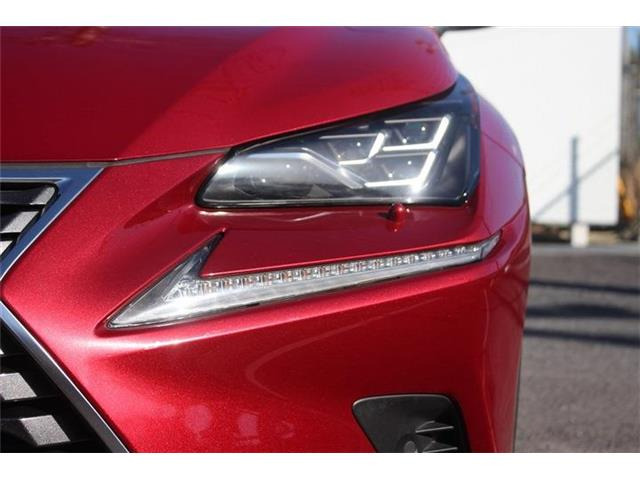 �����X�o���Ȃ����q�l�A���Ǝҗl�ւ̔̔��͂��f�肳���Ă��������܂��B�Ԍ������ԗ��̏ꍇ�́A�Ԍ����擾�������x�������z�ŕ\�����Ă���܂��B