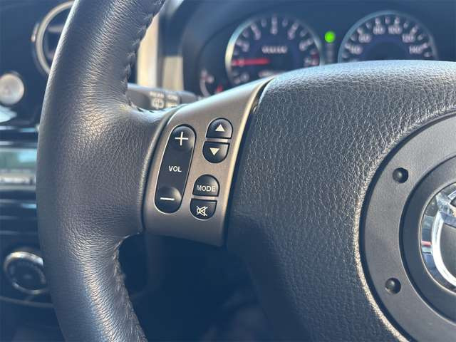 �X�e�A�����O�X�C�b�`