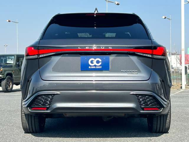 �J���[�E�O���[�h�E�I�v�V�����ύX�\�ł��B���[�J�[�i�r�E�t���b�v�_�E�����j�^�[�E�o�b�N�J�����EETC���������t���ł��܂��̂ŁA���C�y�ɂ����k���������܂��B