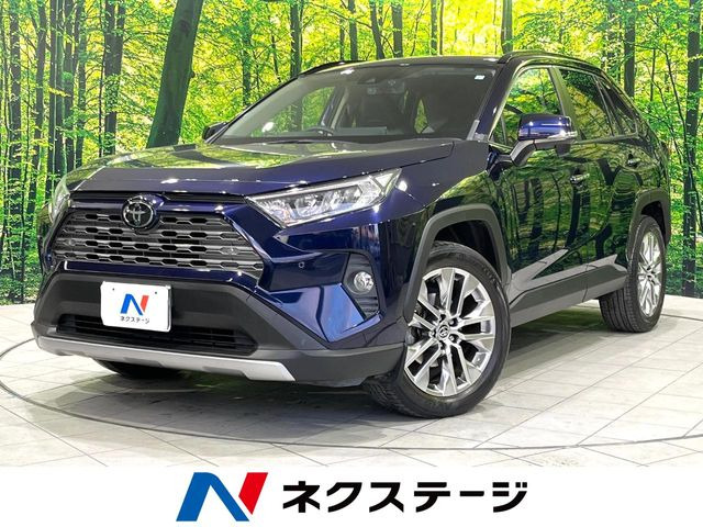 RAV4(トヨタ) 2.0 G Zパッケージ 4WD 中古車画像