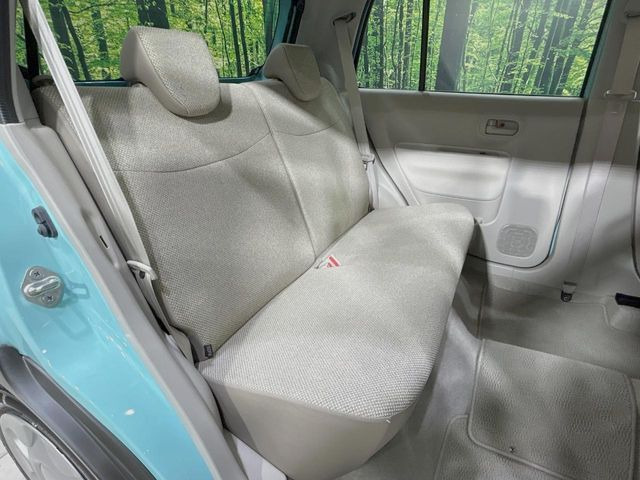 �㕔���Ȃ��C�ɂȂ�悤�ȃL�Y�E�����ւ��蓙�A�傫�ȃ_���[�W�͂Ȃ��A�ǍD�ȏ�Ԃł��B