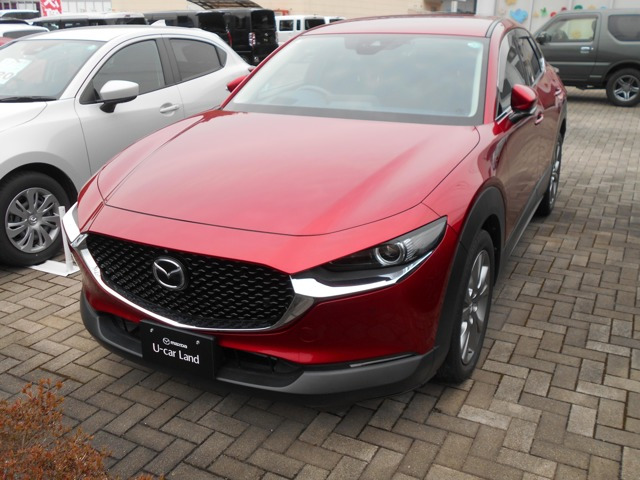 CX-302.0 20S プロアクティブ