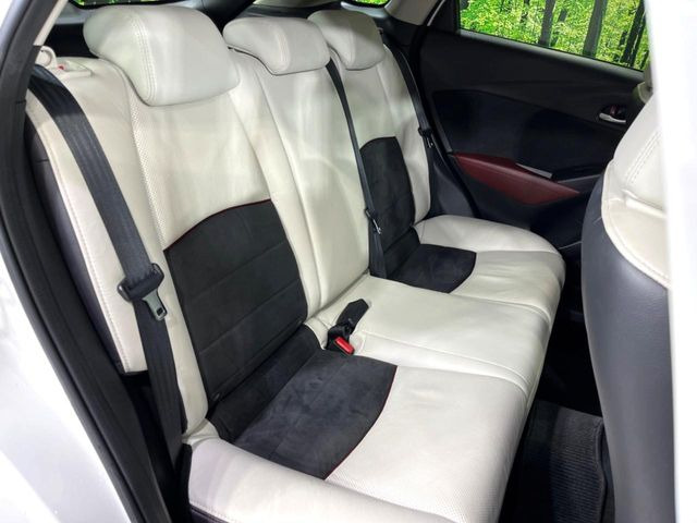 �㕔���Ȃ��C�ɂȂ�悤�ȃL�Y�E�����ւ��蓙�A�傫�ȃ_���[�W�͂Ȃ��A�ǍD�ȏ�Ԃł��B