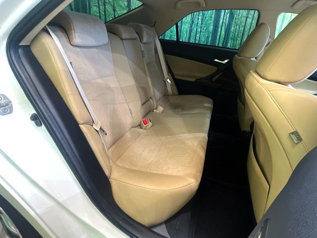 �㕔���Ȃ��C�ɂȂ�悤�ȃL�Y�E�����ւ��蓙�A�傫�ȃ_���[�W�͂Ȃ��A�ǍD�ȏ�Ԃł��B