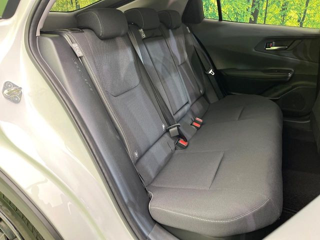 �㕔���Ȃ��C�ɂȂ�悤�ȃL�Y�E�����ւ��蓙�A�傫�ȃ_���[�W�͂Ȃ��A�ǍD�ȏ�Ԃł��B