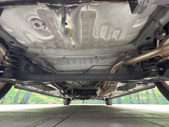 ����肪���ꂢ�Ȃ����ɁA�h�K���H�̎{�H���I�X�X���B�~��n��͂������A���ݕ��ɂ��Z���̕���A��Ń}�����E�E�B���^�[�X�|�[�c���������ɂ��D�]���������Ă���܂��B