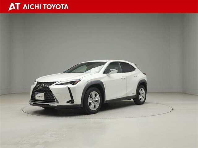 UX250h バージョンC