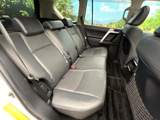 �㕔���Ȃ��C�ɂȂ�悤�ȃL�Y�E�����ւ��蓙�A�傫�ȃ_���[�W�͂Ȃ��A�ǍD�ȏ�Ԃł��B