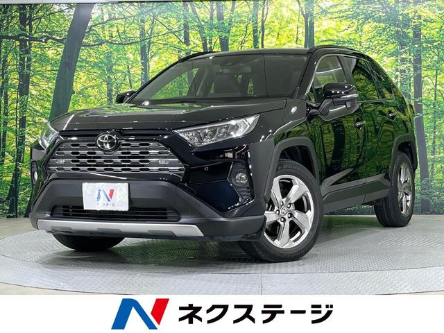 RAV4(トヨタ) 2.0 G 4WD 中古車画像