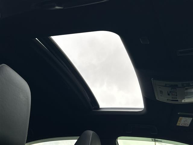 NX300h Fスポーツ