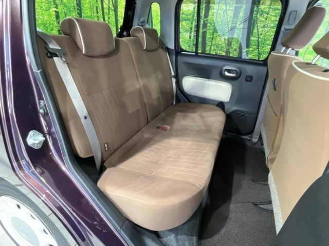 �㕔���Ȃ��C�ɂȂ�悤�ȃL�Y�E�����ւ��蓙�A�傫�ȃ_���[�W�͂Ȃ��A�ǍD�ȏ�Ԃł��B