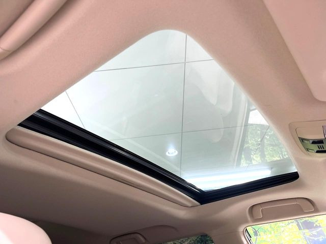 �y�T�����[�t�z�J���������Ղ�̊󏭑����A�T�����[�t����������Ă��܂�!�ԓ��ɖ�����������ꂽ��i�F���y���ވȊO�ɂ��A�ԓ��̋�C���ȒP�Ɋ��C�ł��ĉ��K�ł�!