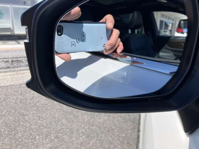 �u���C���h�X�|�b�g���j�^�[!