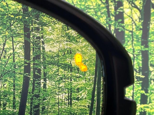 �y�u���C���h�X�|�b�g�C���t�H���[�V�����z���s���A�h�A�~���[�̎��p�ɂȂ�₷���ӏ��Ɍ㑱�Ԃ��ڋ߂���ƃT�C�h�~���[�t�߂Ɍx����\���A�h���C�o�[�ɒ��ӊ��N�����Ă���܂��B