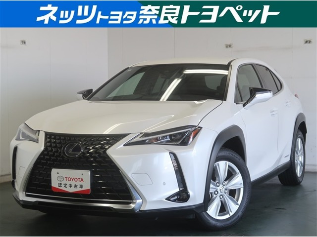 UX250h バージョンC