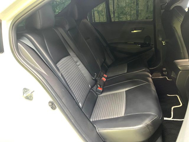 �㕔���Ȃ��C�ɂȂ�悤�ȃL�Y�E�����ւ��蓙�A�傫�ȃ_���[�W�͂Ȃ��A�ǍD�ȏ�Ԃł��B