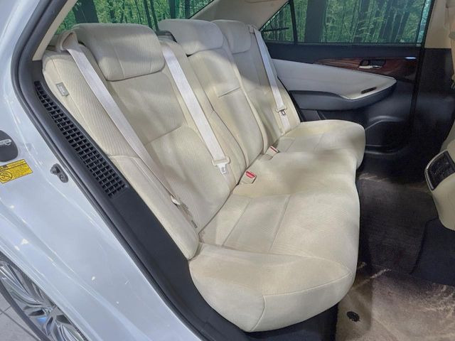 �㕔���Ȃ��C�ɂȂ�悤�ȃL�Y�E�����ւ��蓙�A�傫�ȃ_���[�W�͂Ȃ��A�ǍD�ȏ�Ԃł��B