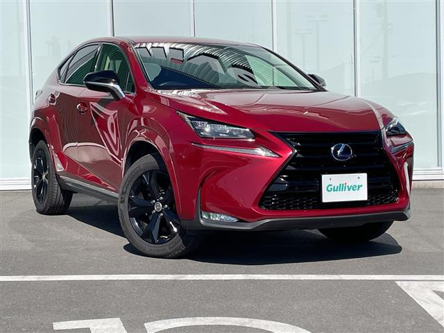 NX300h アーバンスタイル