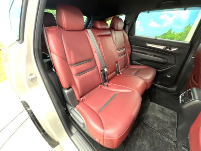 �㕔���Ȃ��C�ɂȂ�悤�ȃL�Y�E�����ւ��蓙�A�傫�ȃ_���[�W�͂Ȃ��A�ǍD�ȏ�Ԃł��B