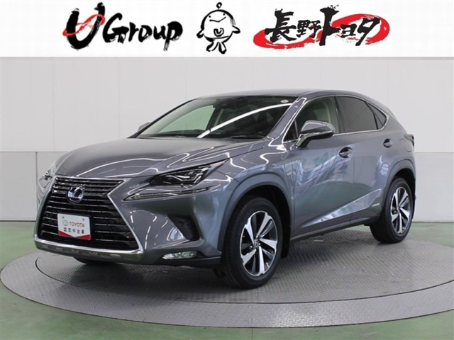 NX300h バージョンL 4WD