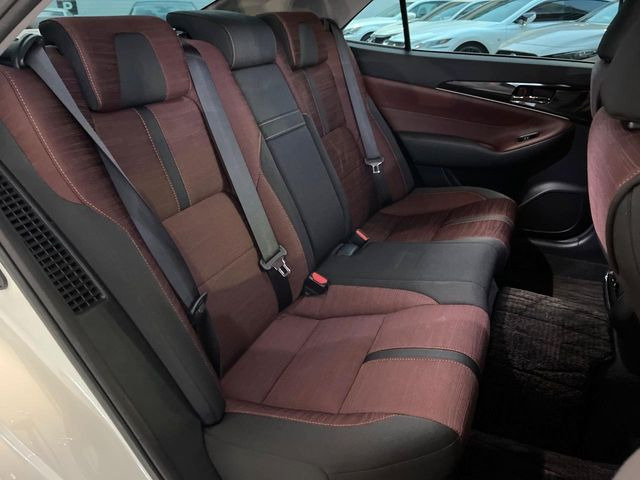 �㕔���Ȃ��C�ɂȂ�悤�ȃL�Y�E�����ւ��蓙�A�傫�ȃ_���[�W�͂Ȃ��A�ǍD�ȏ�Ԃł��B