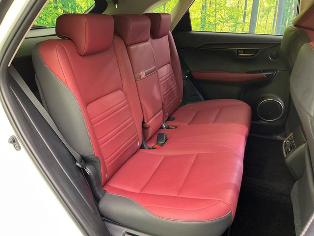 �㕔���Ȃ��C�ɂȂ�悤�ȃL�Y�E�����ւ��蓙�A�傫�ȃ_���[�W�͂Ȃ��A�ǍD�ȏ�Ԃł��B