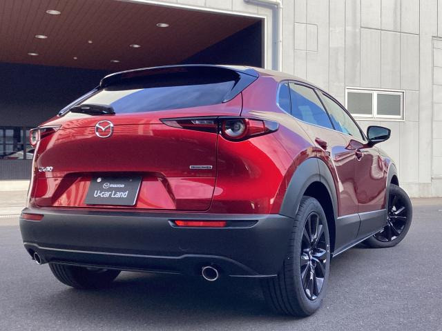 CX-301.8 XD ブラック セレクション