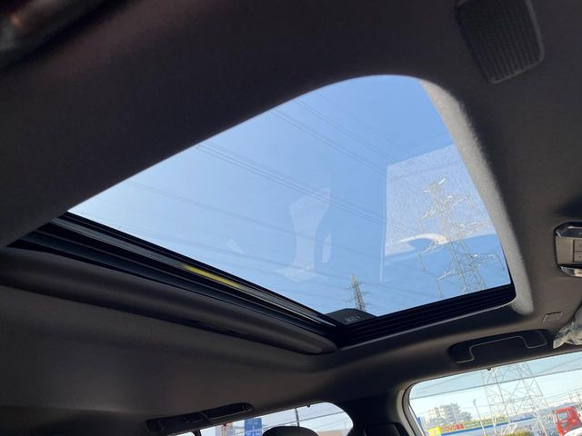 �y�T�����[�t�z�J���������Ղ�̊󏭑����A�T�����[�t����������Ă��܂�!�ԓ��ɖ�����������ꂽ��i�F���y���ވȊO�ɂ��A�ԓ��̋�C���ȒP�Ɋ��C�ł��ĉ��K�ł�!